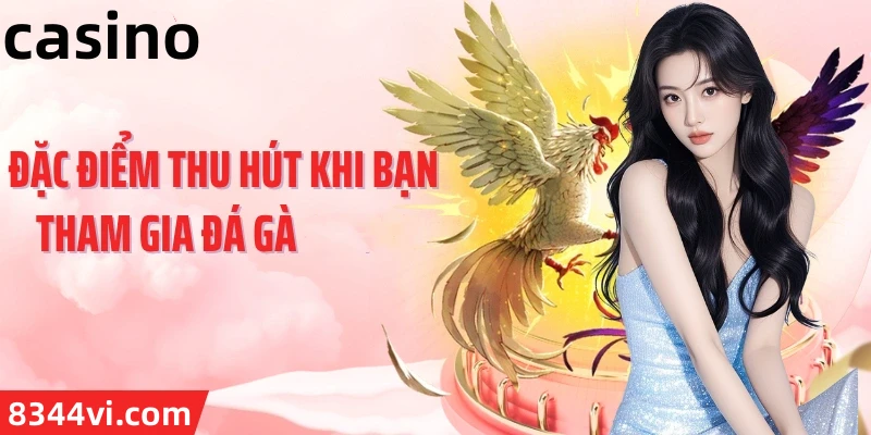 Hình ảnh quảng cáo của bk8bv hiển thị nền tảng và các lợi ích
